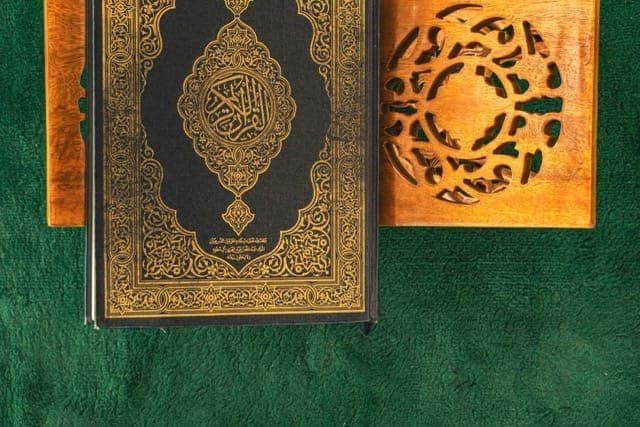 Organic Cold-Pressed Black Seed (Kalonji) Oil